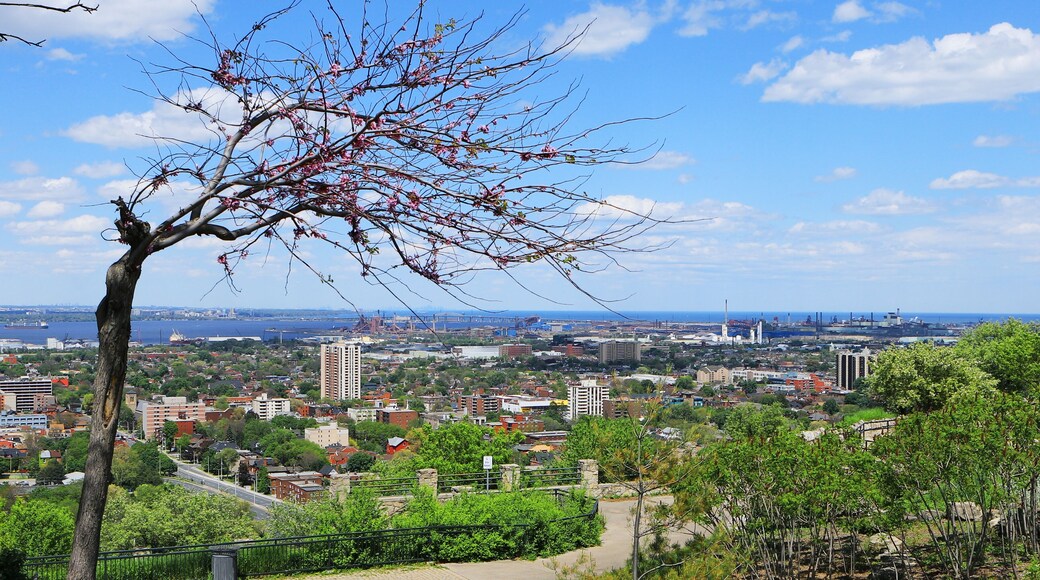 Hamilton, Ontario seen from the escarpment