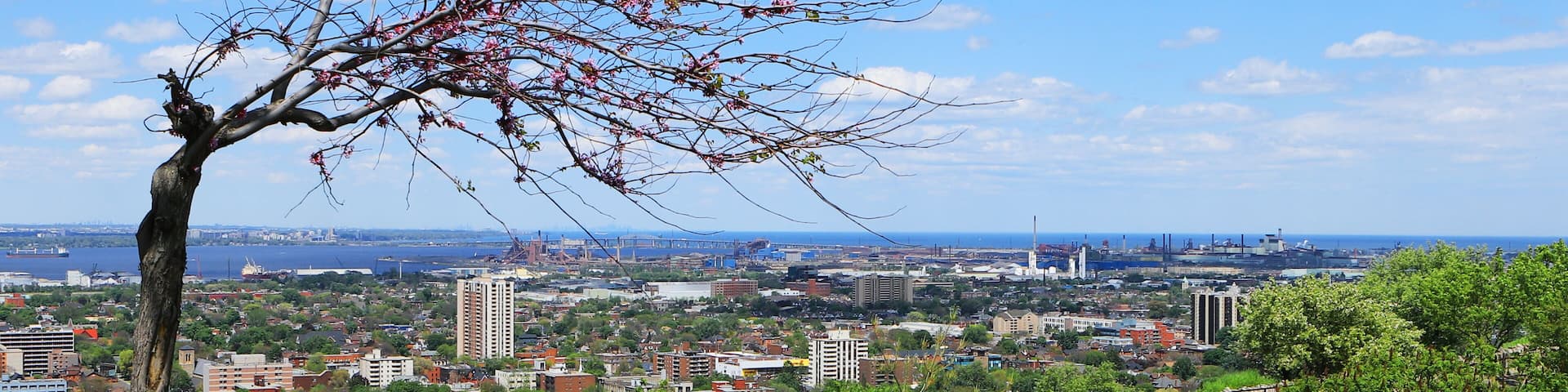 Hamilton, Ontario seen from the escarpment