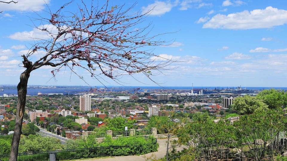 Hamilton, Ontario seen from the escarpment