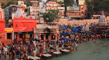 瓦拉納西自治機關