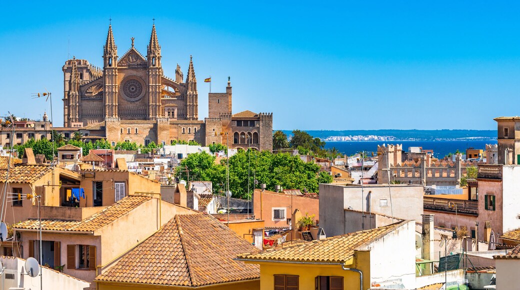 เปเร กาเรา