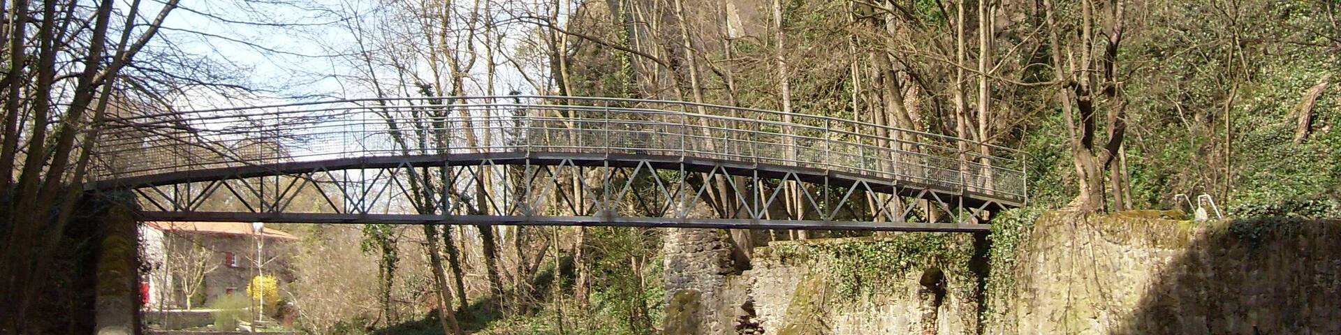 L'Yzeron à Francheville