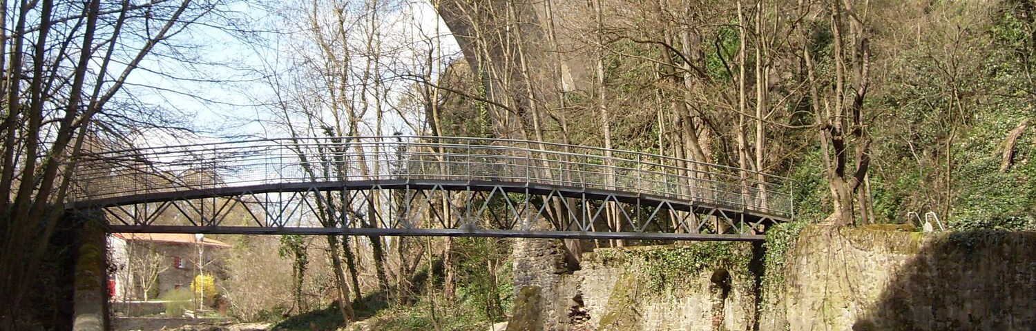 L'Yzeron à Francheville