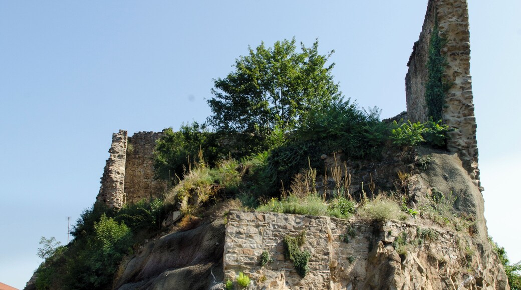 This building is indexed in the Base Mérimée, a database of architectural heritage maintained by the French Ministry of Culture, under the reference PA00117763 .