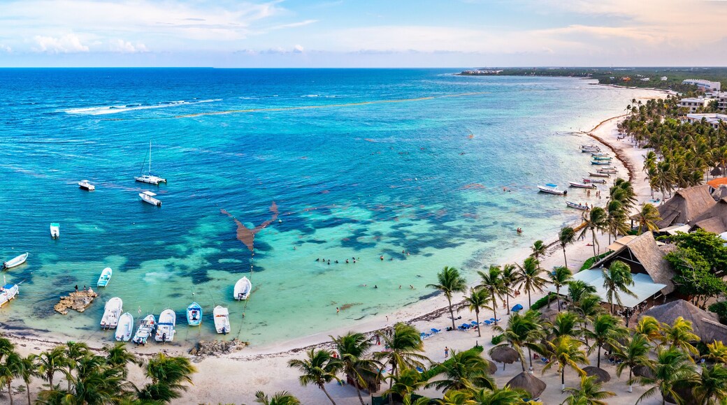 Aerial view of the Akumal Bay in Quintana Roo, Mexico. Caribbean Sea, coral reef, top view. Beautiful tropical paradise beach