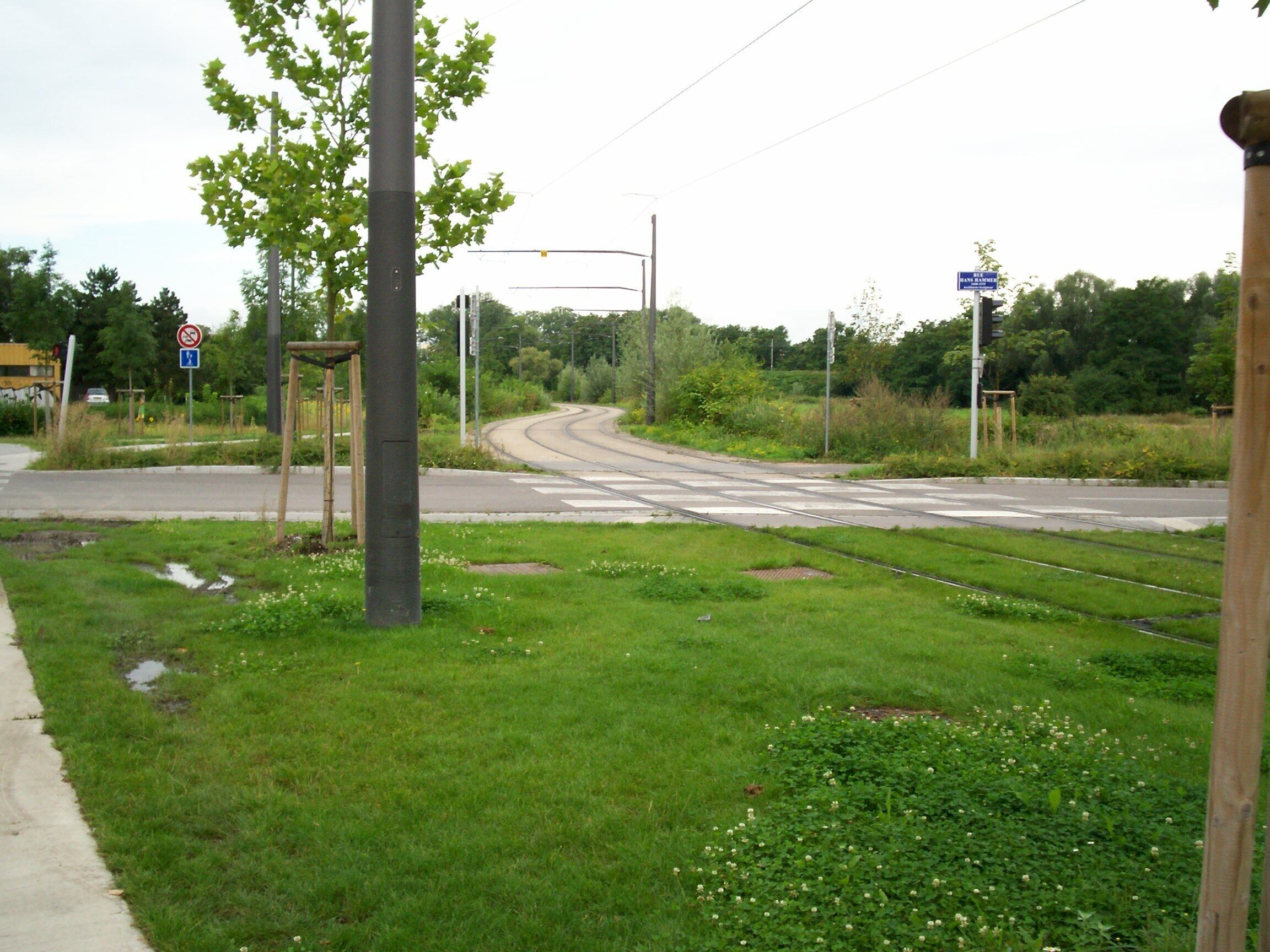 Voie Tramway de Strasbourg ligne B après la station Martin Schongauer vers Tiergaertel