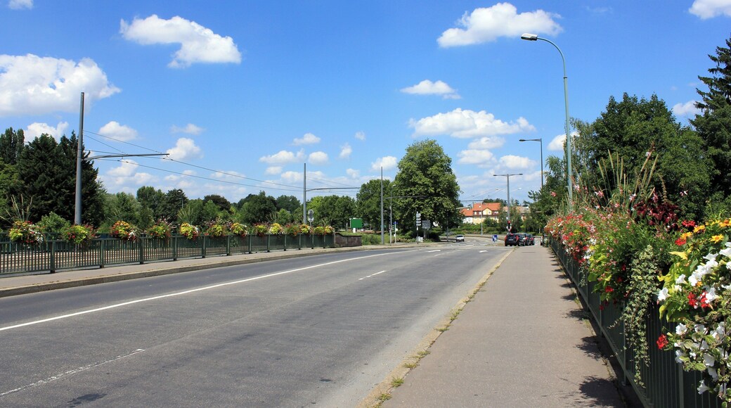 Pont de la Montagne Verte, Elsau, Strasbourg, Alsace, France