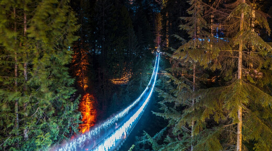 bridge, capilano, suspension, canada, vancouver, forest, nature, park, tourism, crossing, outdoor, tourist, travel, tree, columbia, woods, british, cedar, north, pine, walk, walkway, adventure, attrac
