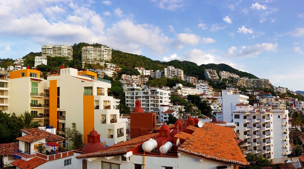 ๋ผ์ฌ๋ก ์นด๋ฅด๋ฐ๋์ค