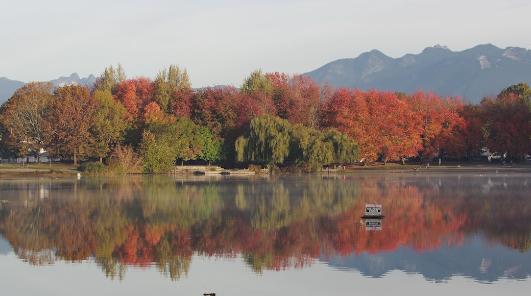 Autumn fall colored trees and bushes with a mountain backdrop reflected in Trout Lake in Vancouver BC Canada
