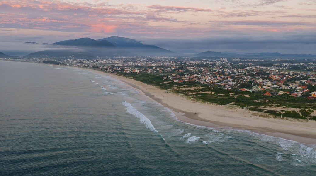 Aerial view of Campeche Beach at sunrise with long shoreline, residential area and pink sky, Florianopolis.