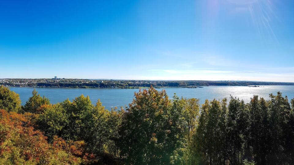 A panoramic view of a lake with surrounding trees and a distant city skyline.