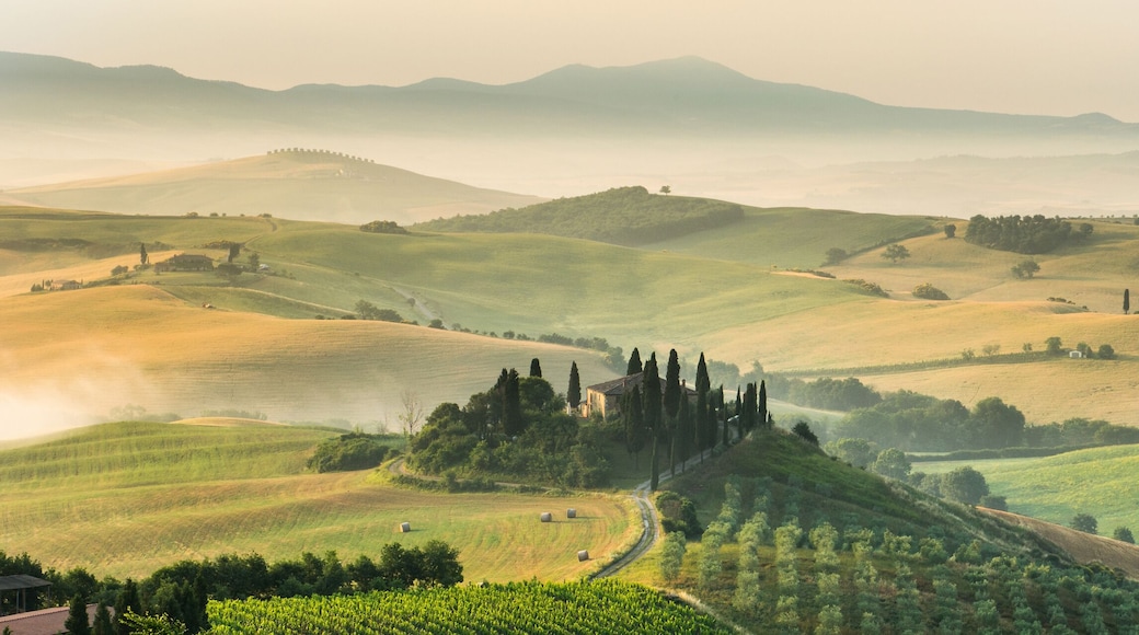 summer landscape of Tuscany, Italy.