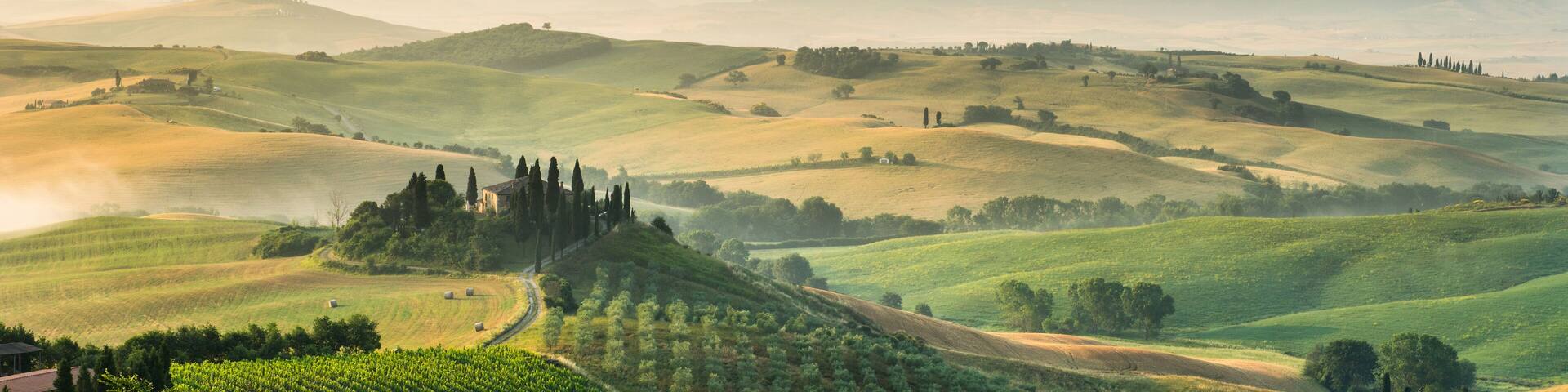 Rolling hills, a vineyard, and a distant castle.