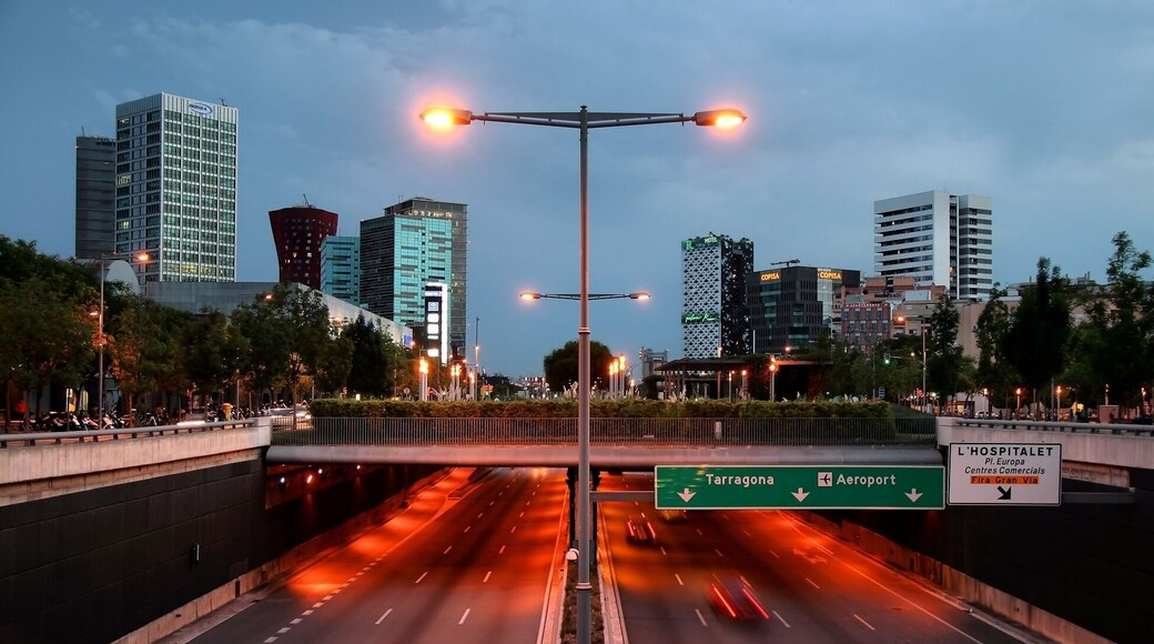 L'Hospitalet de Llobregat (Barcelona, Spain)