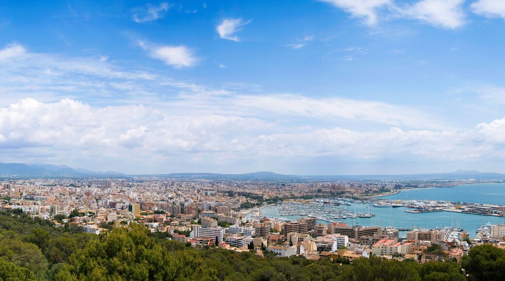 Palma de Mallorca panorama