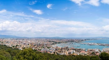 Palma de Mallorca panorama
