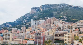 Monte Carlo Monaco February 2013