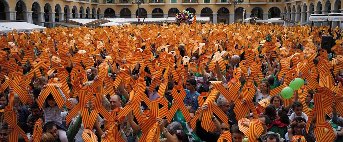 Els assistents a la Diada per la Llengua 2014 aixequen llaços quatribarrats.