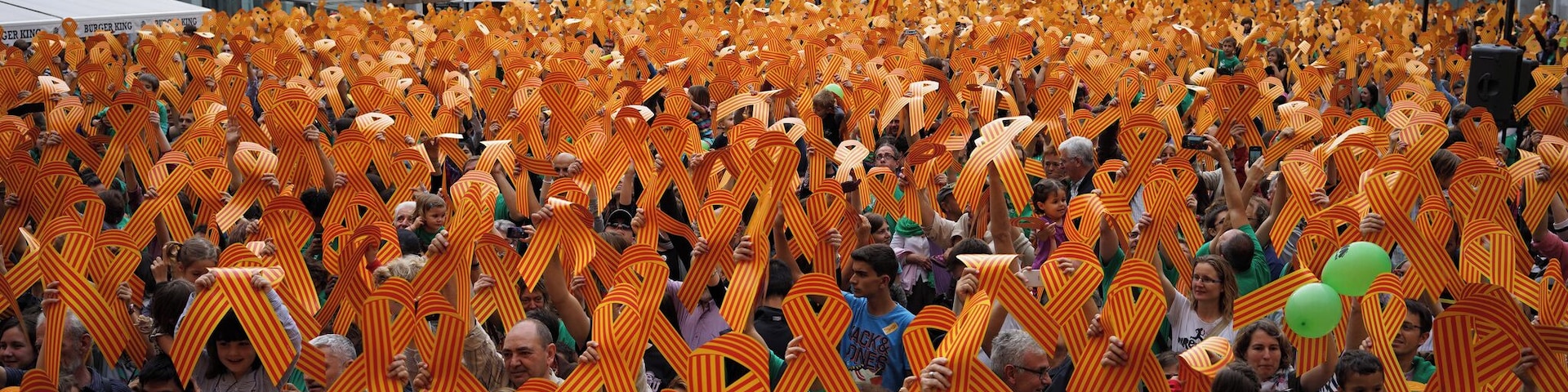 Els assistents a la Diada per la Llengua 2014 aixequen llaços quatribarrats.