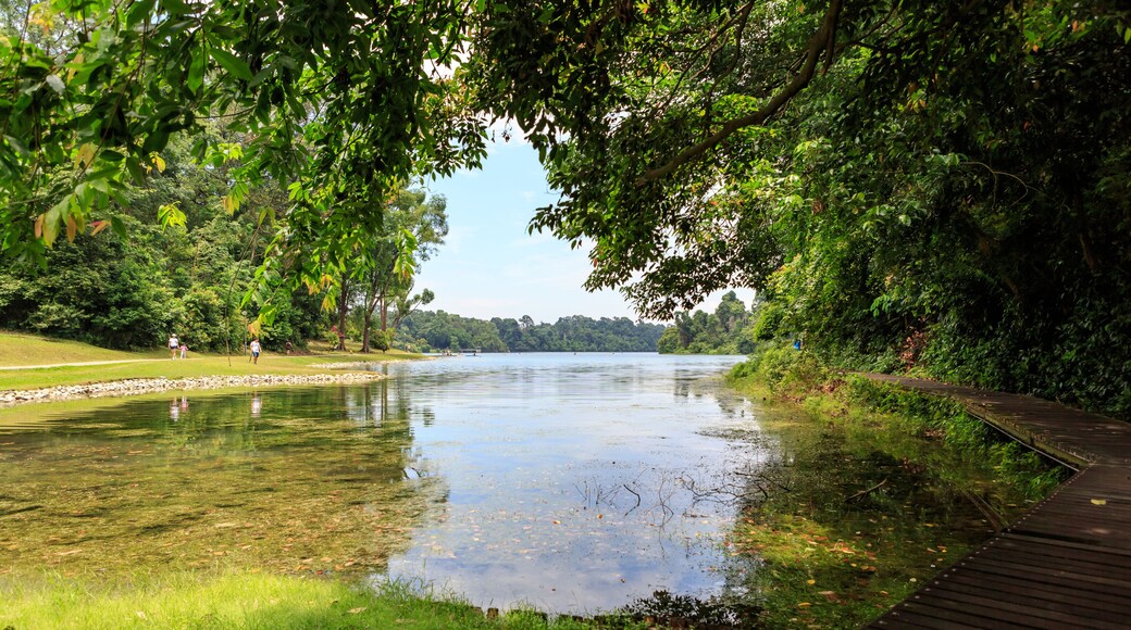 Central Water Catchment