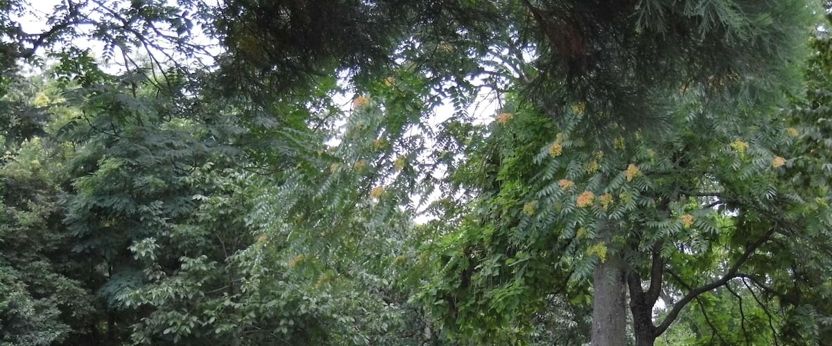 Parc de la Bergère