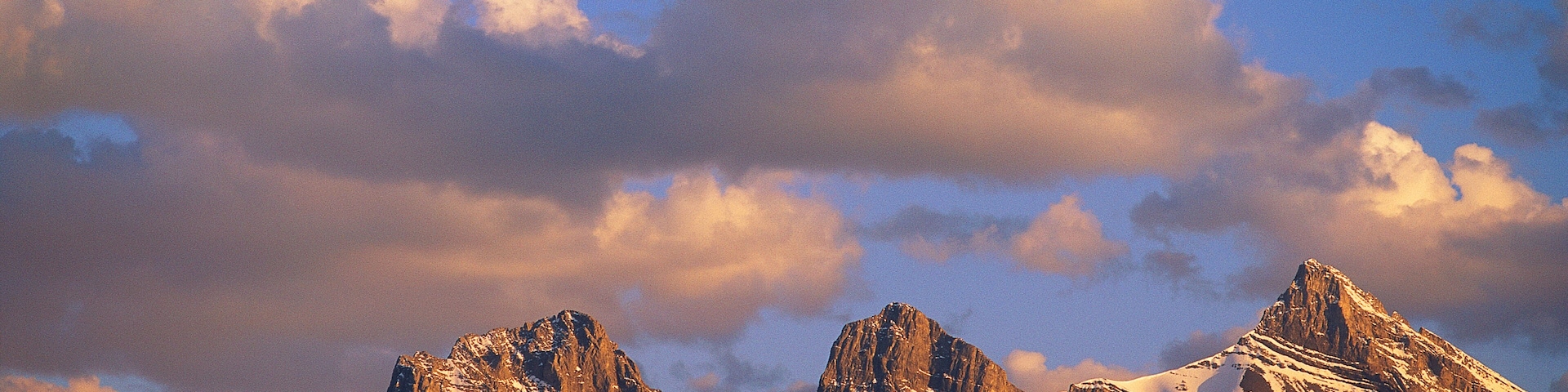 0_E007798