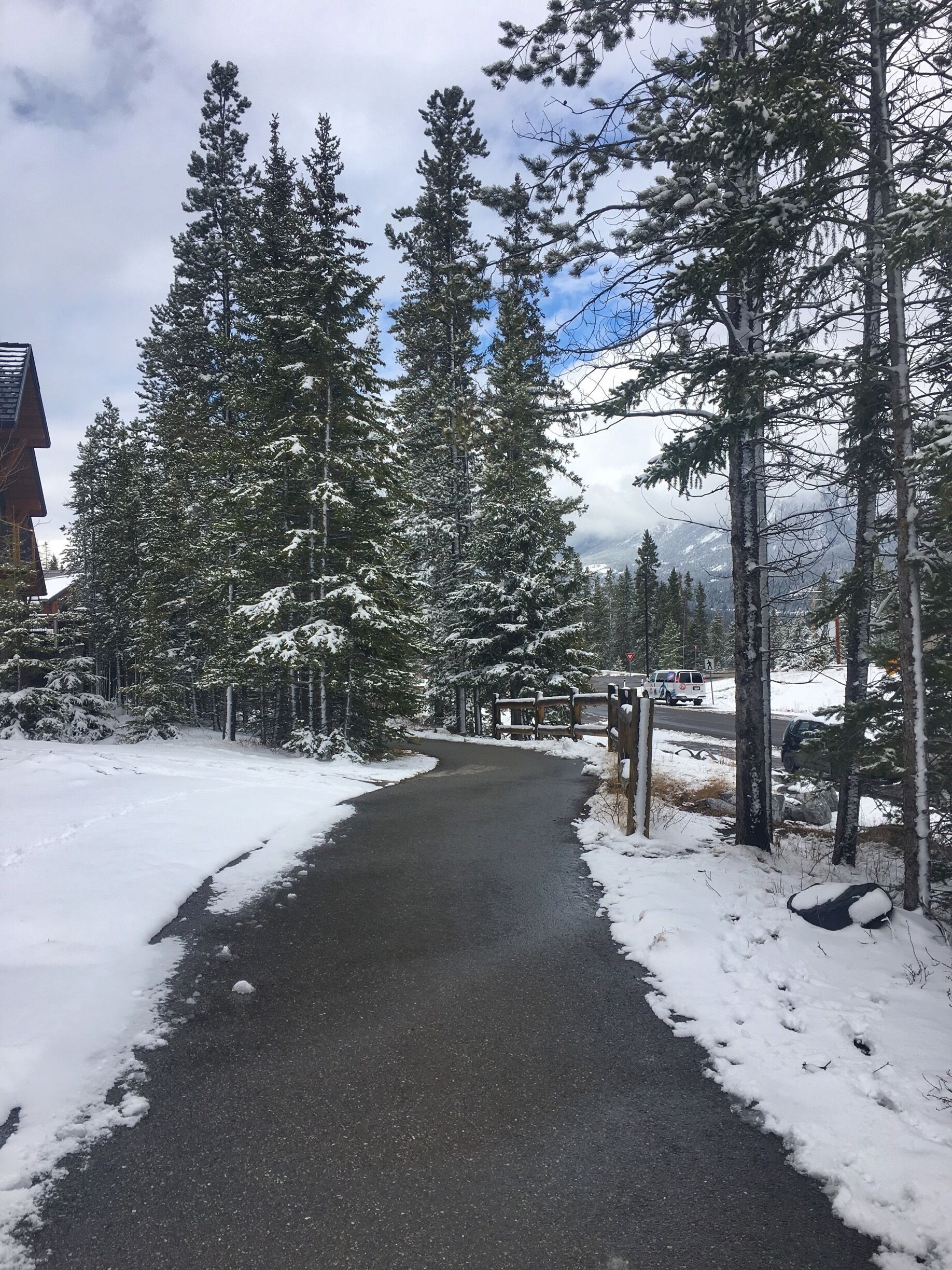 When you think it's spring and the next day you find snow on the ground . #alberta #threesisters #snow #mountainlife #canmore #walks #nature