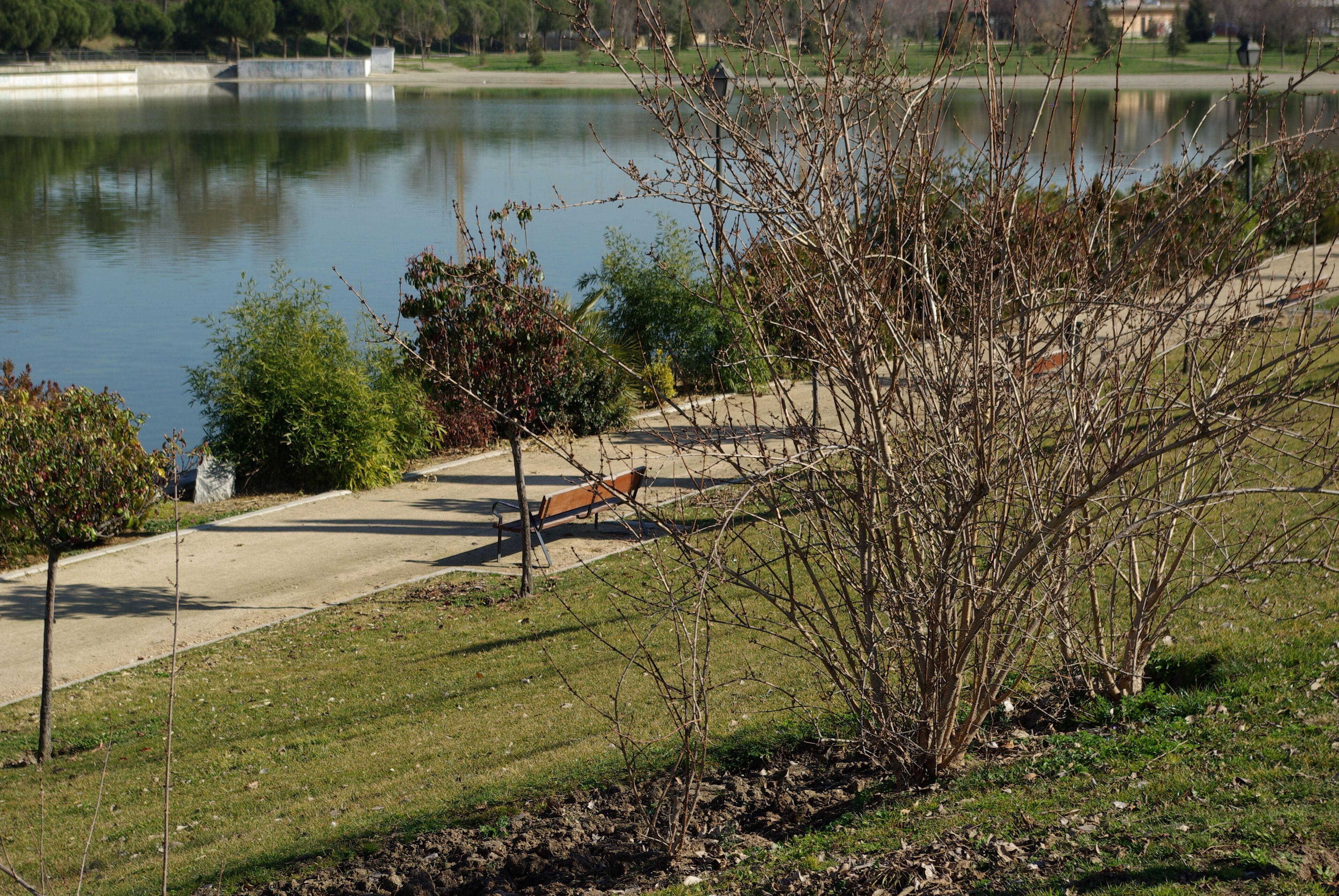 ® MADRID PARQUE PRADOLONGO_ESTANQUE ◙