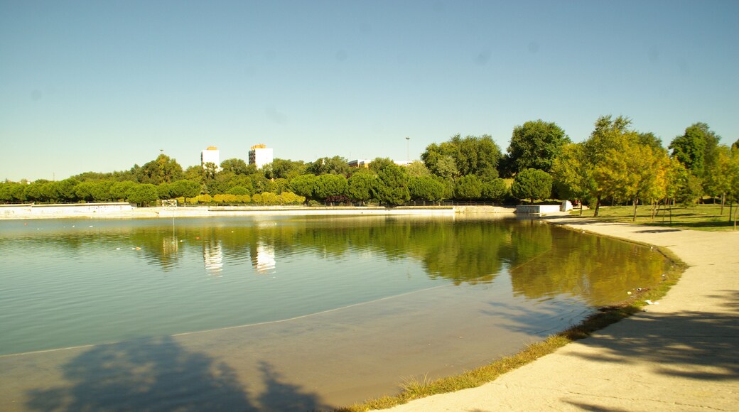 ® MADRID A.V.U. PARQUE PRADOLONGO