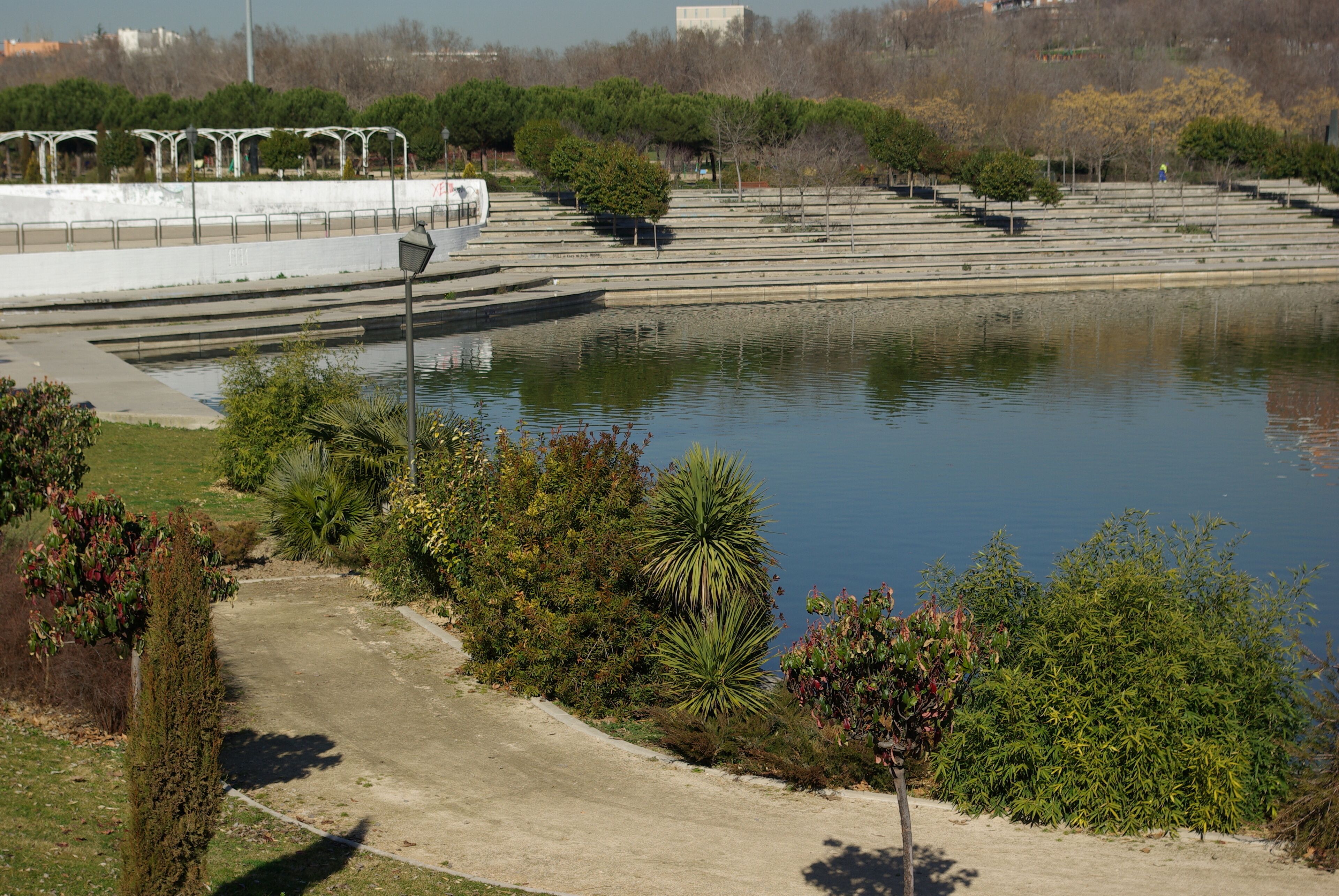 ® MADRID PARQUE PRADOLONGO_GRADA ESTANQUE ◙