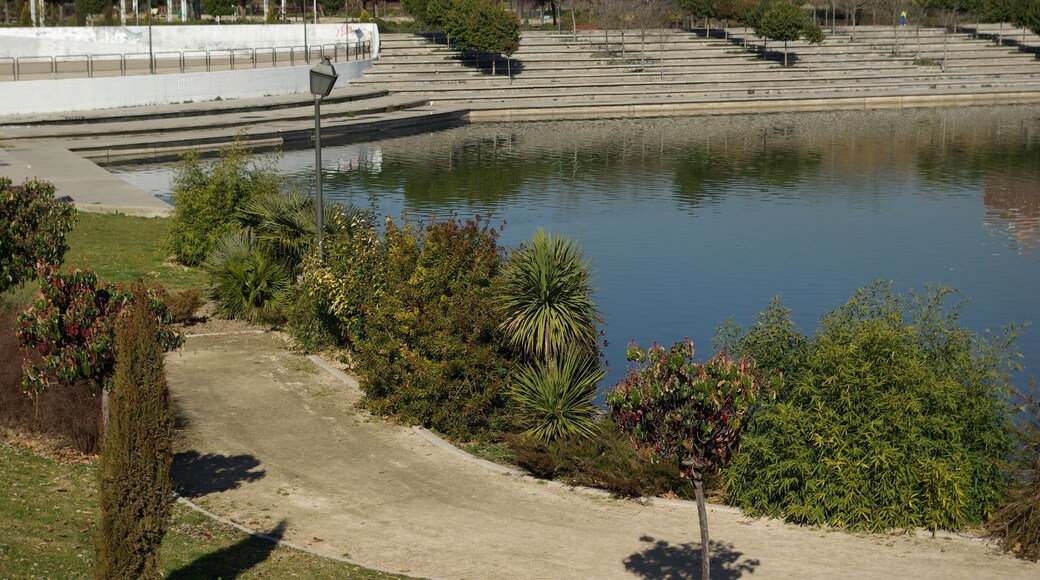 ® MADRID PARQUE PRADOLONGO_GRADA ESTANQUE ◙