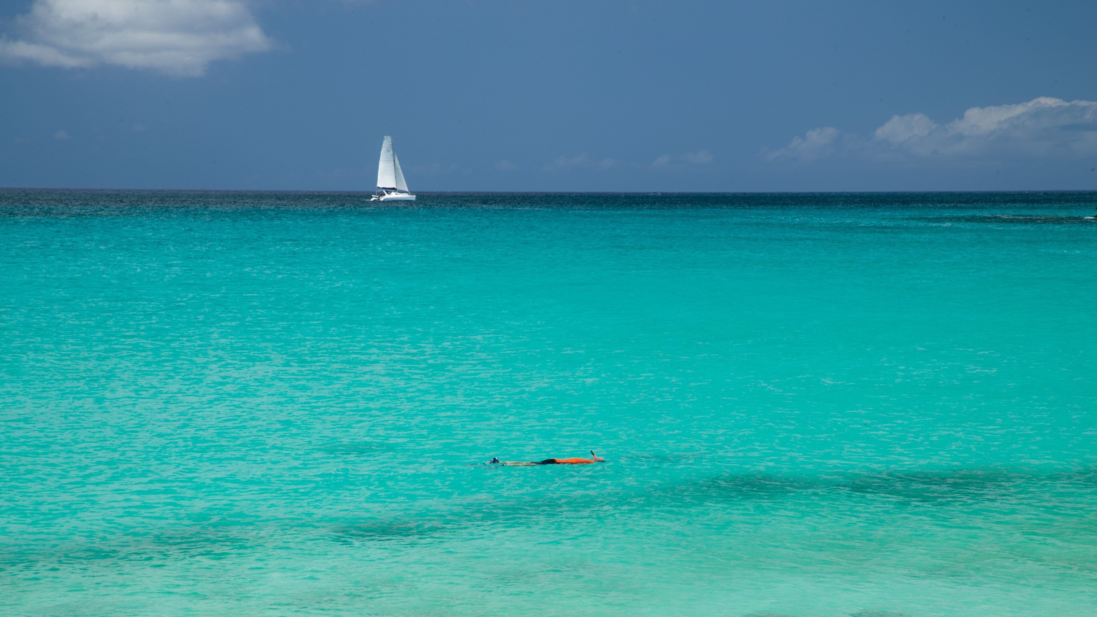 Maho featuring snorkeling, tropical scenes and general coastal views