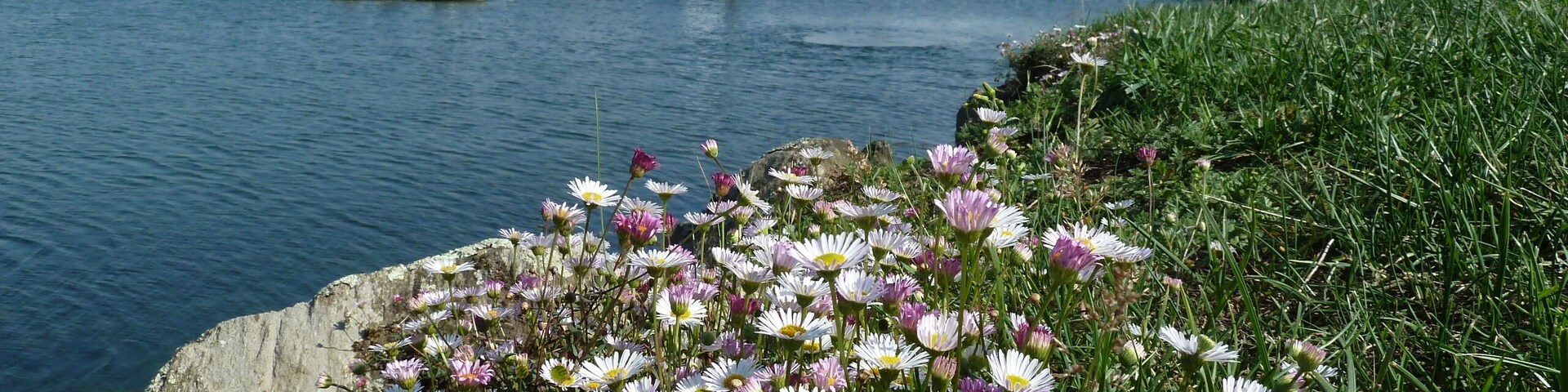 Port de plaisance de Brest