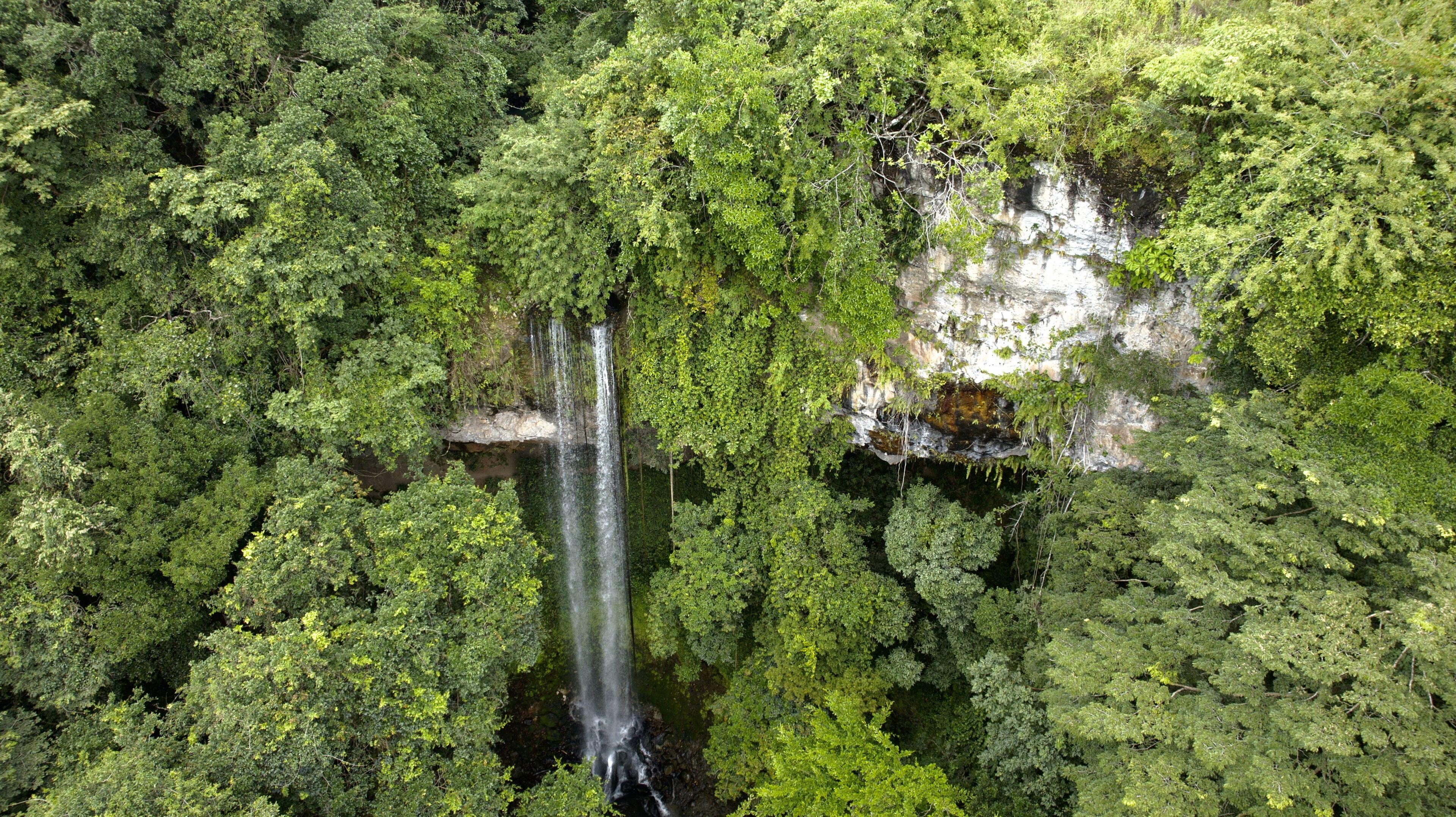 Aerial view of a cascade plunges down a rock face into a pool surrounded by dense, vibrant green foliage, El Valle de AntÃ³n, CoclÃ© Province, Panama.