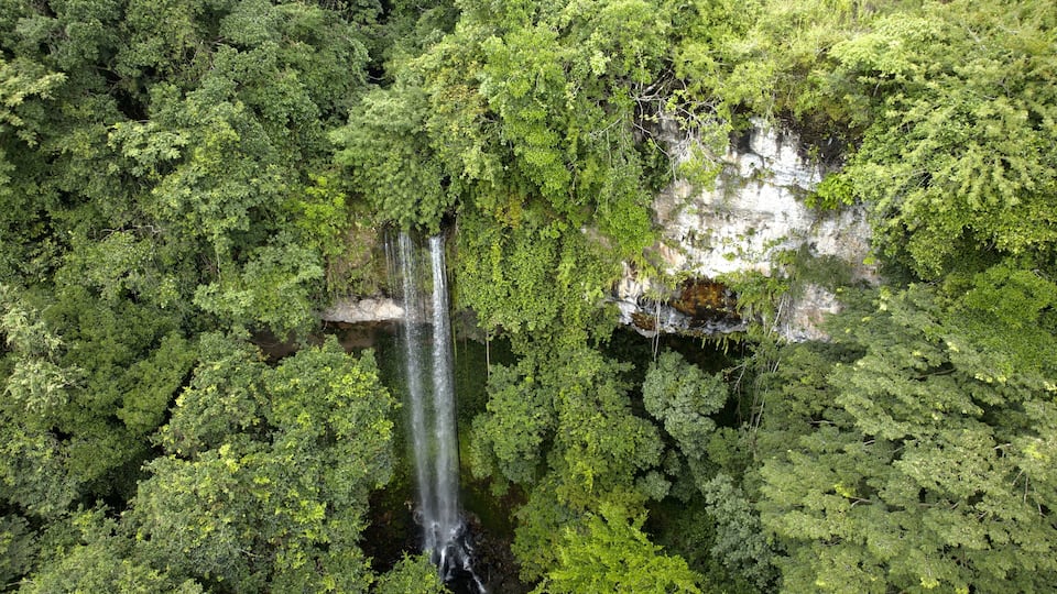 Aerial view of a cascade plunges down a rock face into a pool surrounded by dense, vibrant green foliage, El Valle de Antón, Coclé Province, Panama.