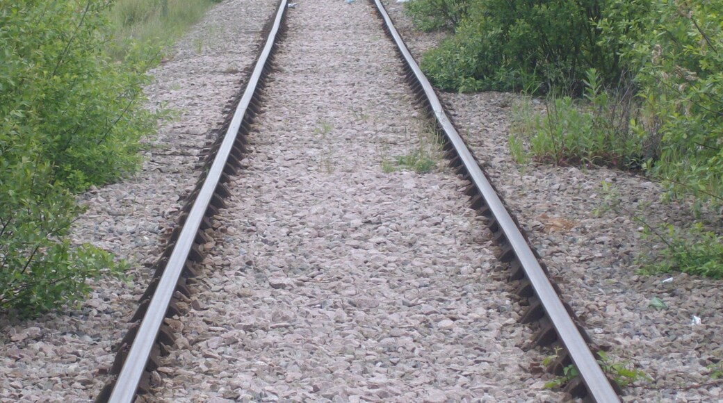 Railway line in Holbrooks.