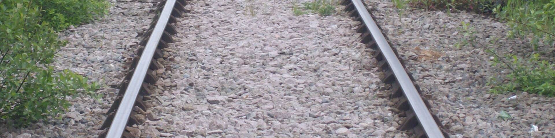 Railway line in Holbrooks.