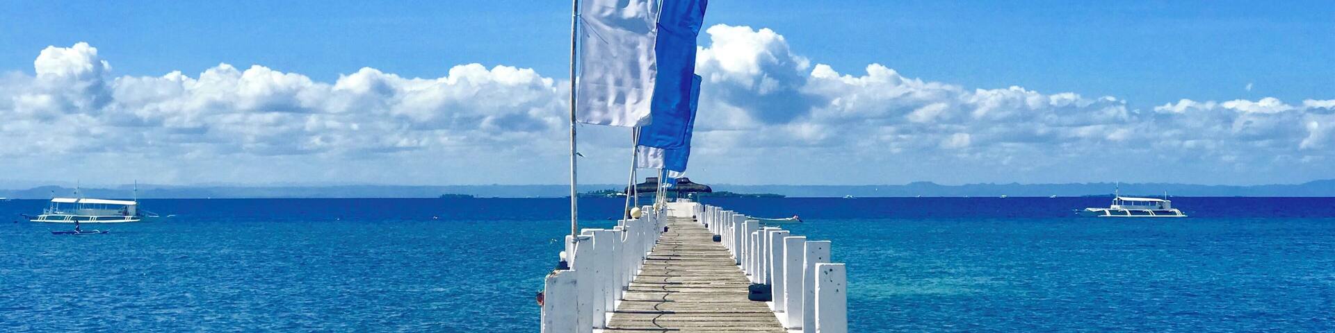 Take me back to paradise!