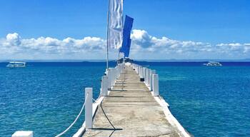 Take me back to paradise!