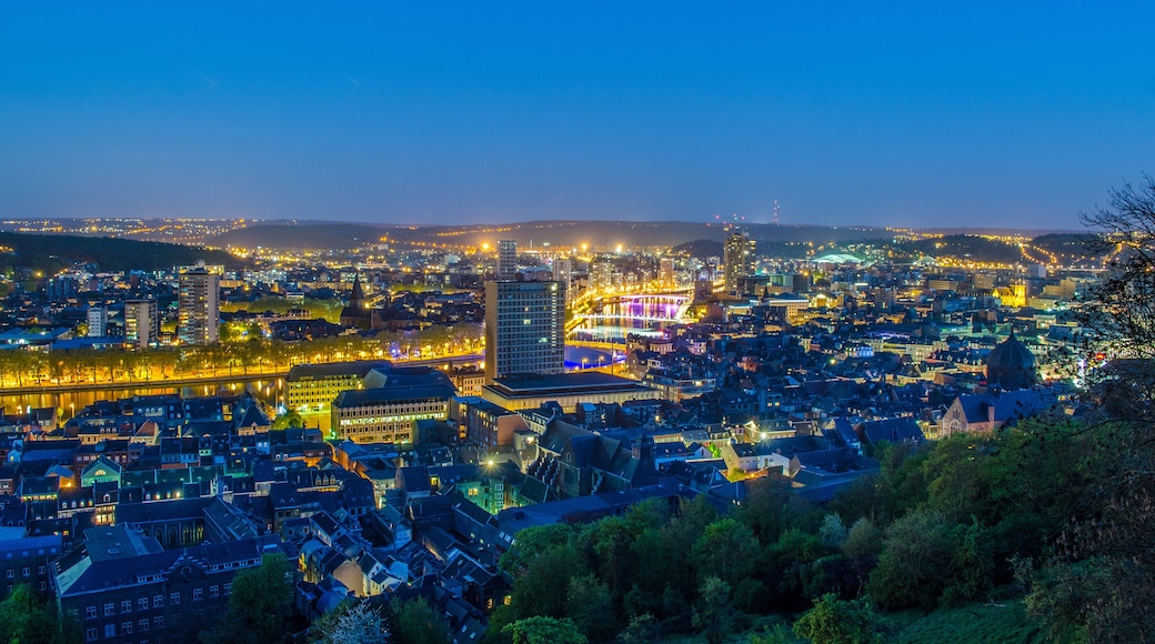 night panoramic view over city of liege in belgium from top of local citadel.
