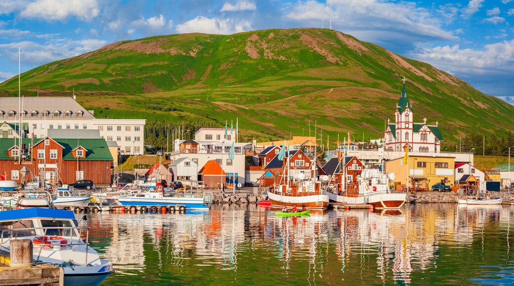 Fishing town of Husavik at sunset, Iceland