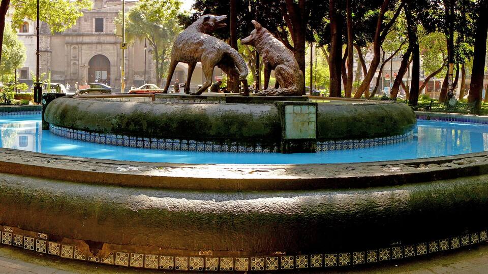 A circular fountain with a dog statue in the center, surrounded by trees and benches.