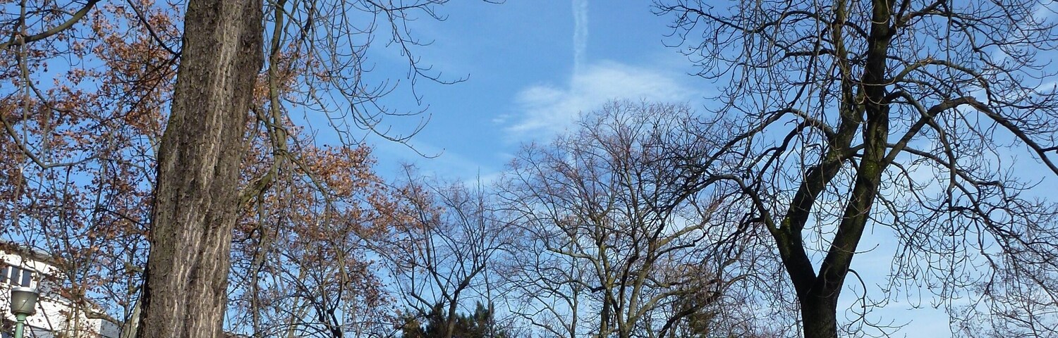Le jardin des Chartreux à Lyon (1er) - Statue de Pierre Dupont (1821-1870)