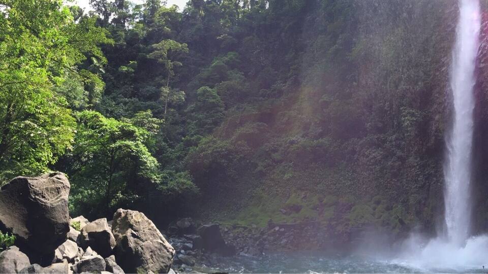 A waterfall cascading down a rocky cliff surrounded by lush greenery.