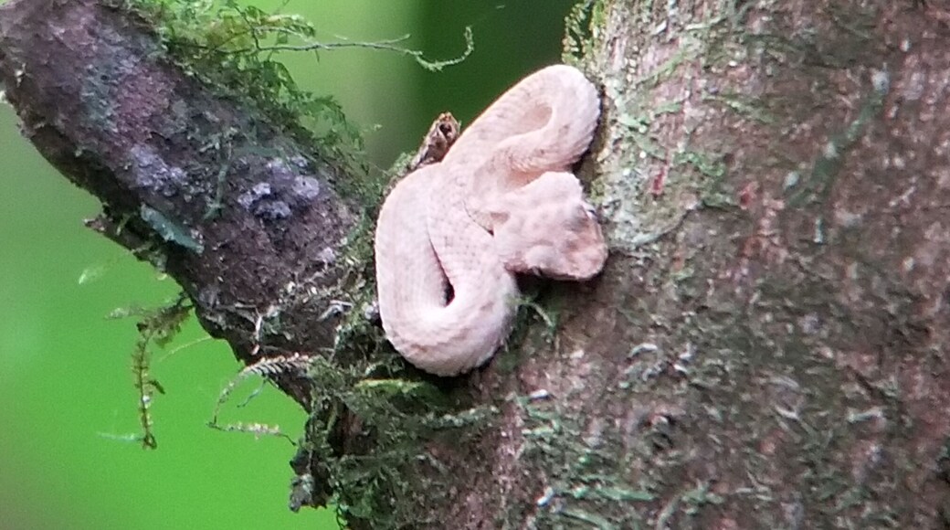 Didnt realize how small these guys were. #scaredthecrapoutofme