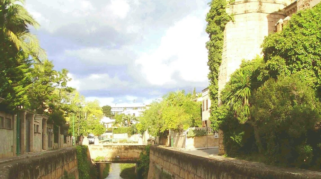 Palma de Mallorca - Torrente del Paseo "Ecquador", cerca de las escalinatas de Cala Virgili.