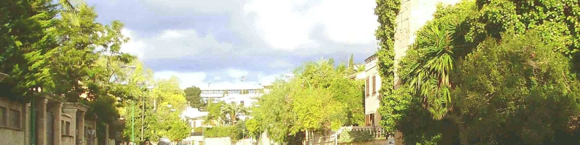 Palma de Mallorca - Torrente del Paseo "Ecquador", cerca de las escalinatas de Cala Virgili.