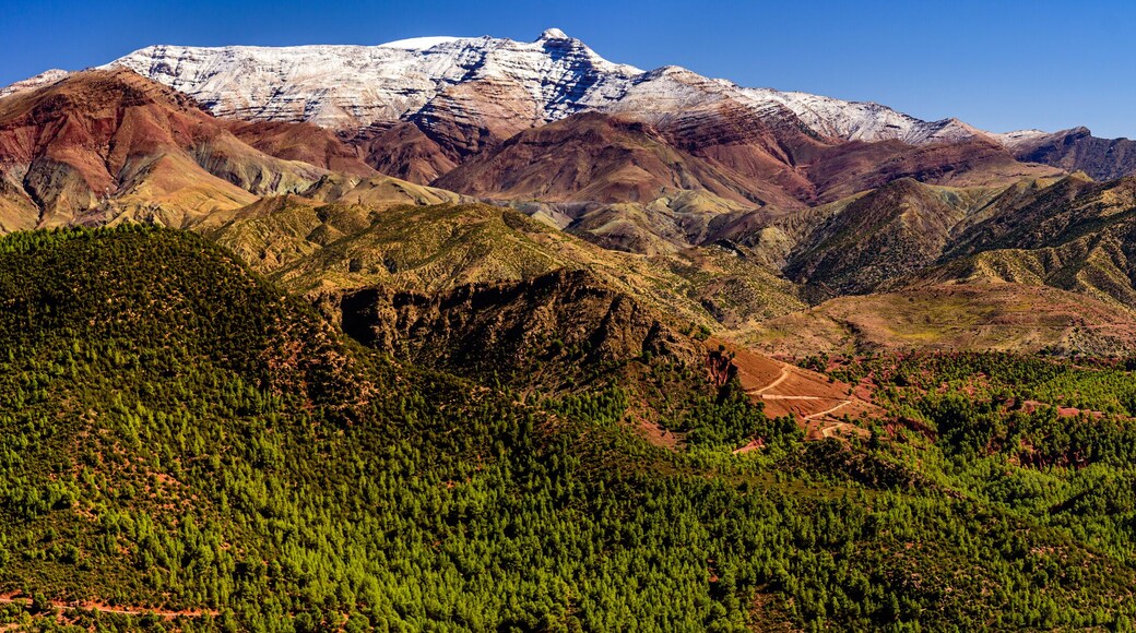 The Atlas Mountains are a mountain range in the Maghreb. It stretches around 2,500 km (1,600 mi) through Morocco, Algeria and Tunisia.