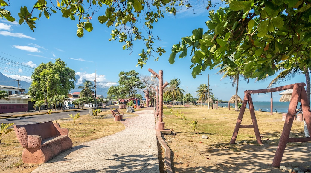 View at the park on sea coast in La ceiba Town in Honduras
